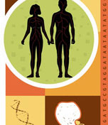 assisted repro image