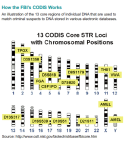 How the FBI's CODIS Works How the FBI's CODIS Works