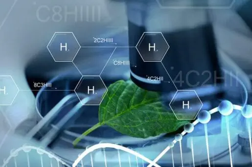 leaf with chemical equations over it