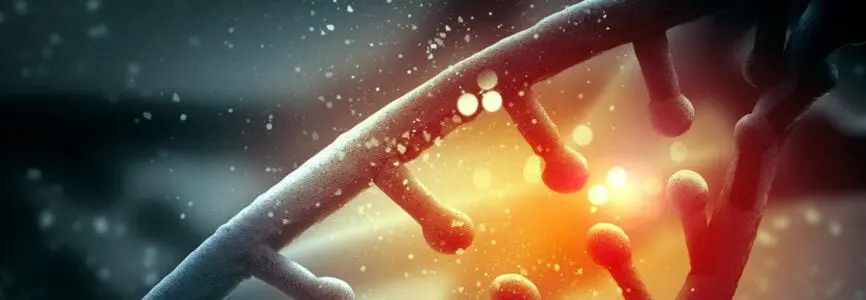 genetic strand