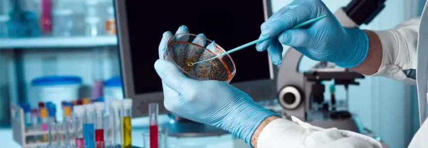 petri dish