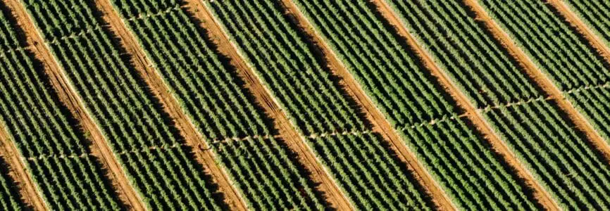 Farming Fields