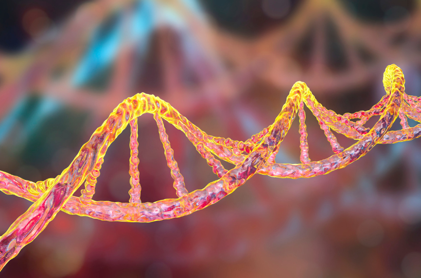 Illustrative image for Bridge2AI Cell Maps for AI Data Generation