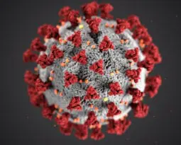 spherical white virus with red pyramid stuck around it