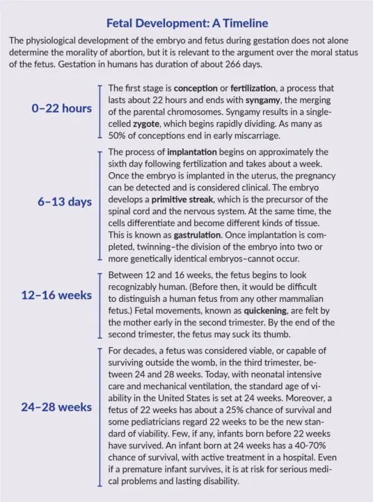 fetal development timeline