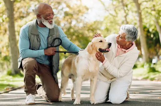 older black couple kneeling beside a beige dog