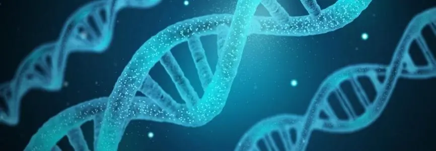 Illustrative image for FAQs on Human Genomic Studies Submission Guidelines