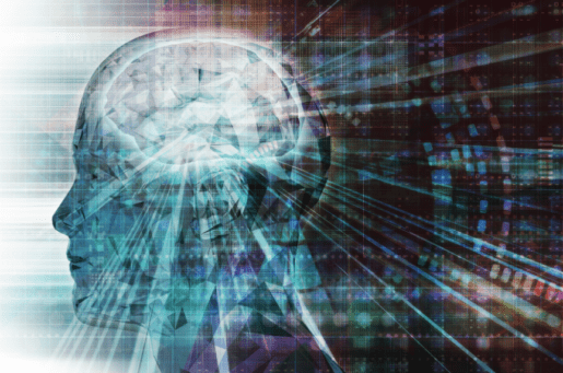 graphic image of a skull and brain