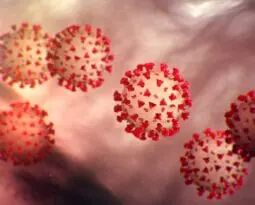 magnification of the Coronavirus