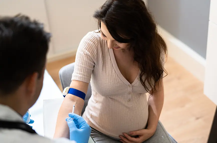 Prenatal Screening. Doctor Drawing Blood Sample From Pregnant Woman