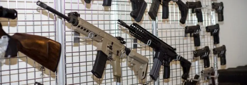 Illustrative image for Businesses Guns and Human Rights