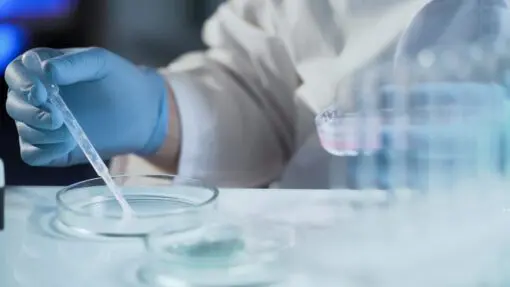 egg fertilization in lab