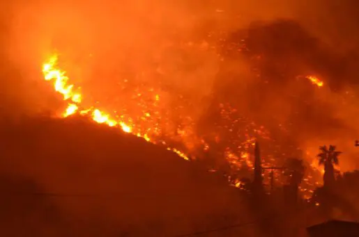 orange wildfire on a hill