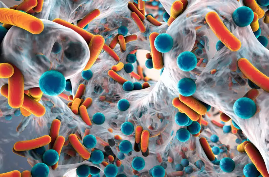 Illustrative image for After the First CRISPR Drug What s Next 