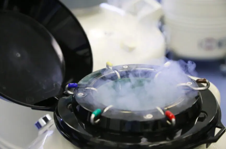 Illustrative image for Fetal Personhood IVF and the Negligent Loss of Embryos