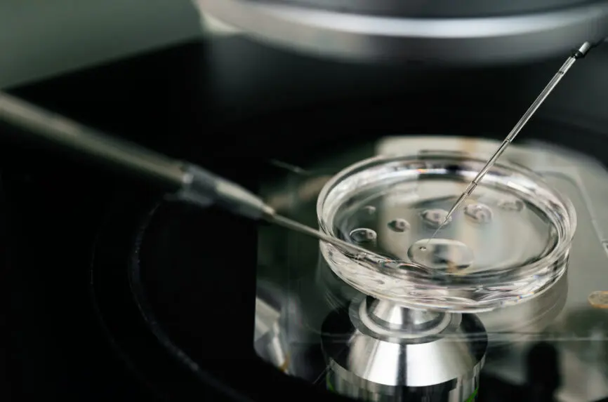 petri dish and needles