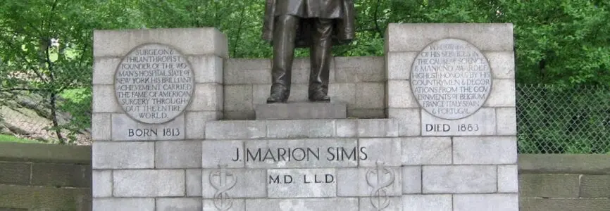 Illustrative image for On Sims s Legacy Work for Bioethics