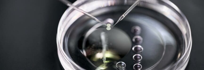 IVF dish with drops of material and micromanipulators over it in the laboratory of the in vitro fertilization. Macro photo with selective focus. Horizontal.