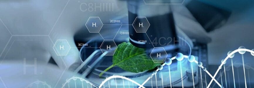 leaf with chemical equations over it