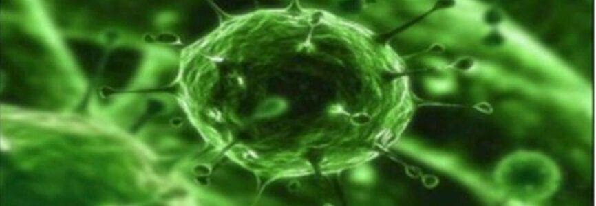 green glowing germ