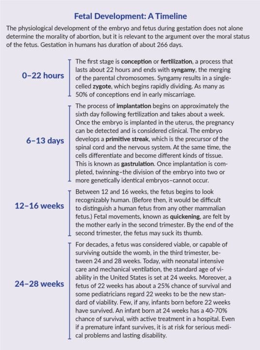 fetal development timeline