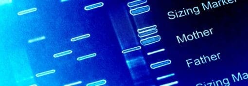 genetic data scan glowing blue