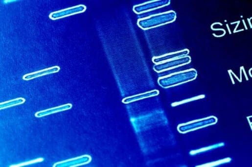 genetic data scan glowing blue