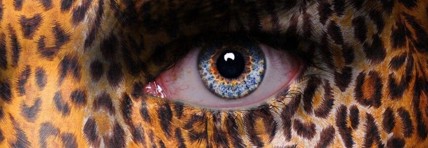 blue eye of a man with animal print on his face