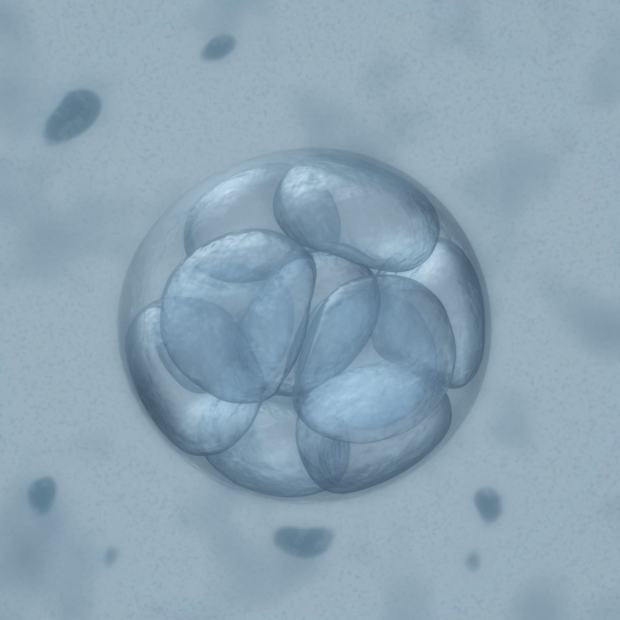 Off Target: Reporting on Human Embryo Gene Editing : The Hastings Center for Bioethics